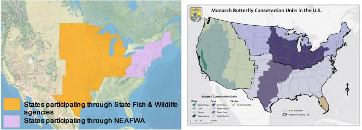 Monarch Conservation Geographic Priorities and Mid-American Monarch Conservation Strategy Geography